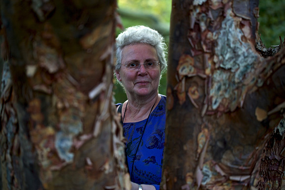 Susan @ Arnold Arboretum