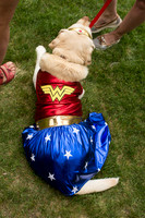 Wonder woDog