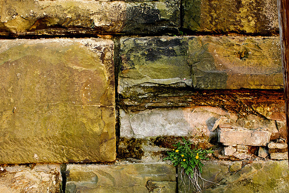 Cleveland Wall